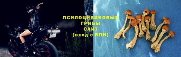 марки nbome Дмитровск