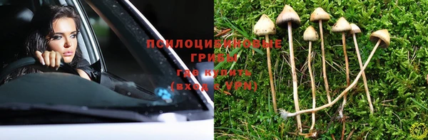 трава Дмитриев